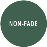 Non Fade